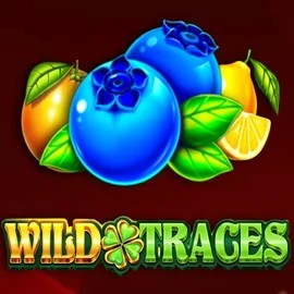 Wild Traces – slot by Amusnet Interactive, featured at betorys.nl